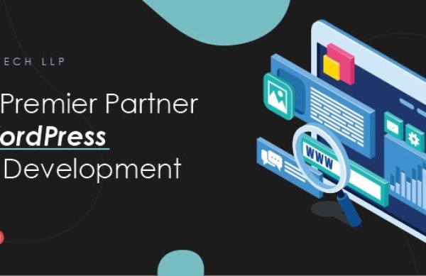 Your Premier Partner for WordPress Website Development